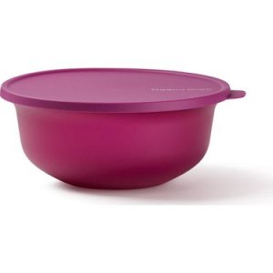 Tupperware Aloha 4 litre