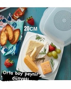 Tupperware Peynir Dünyası Orta Boy