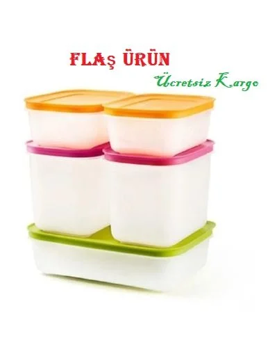 Tupperware Alaska 5-pack Deep Freezer and Refrigerator Storage Container