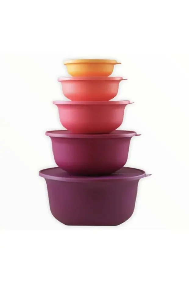 Tupperware Aloha 5-Piece Storage Container Set | Colorful, Healthy & Practical Food Storage