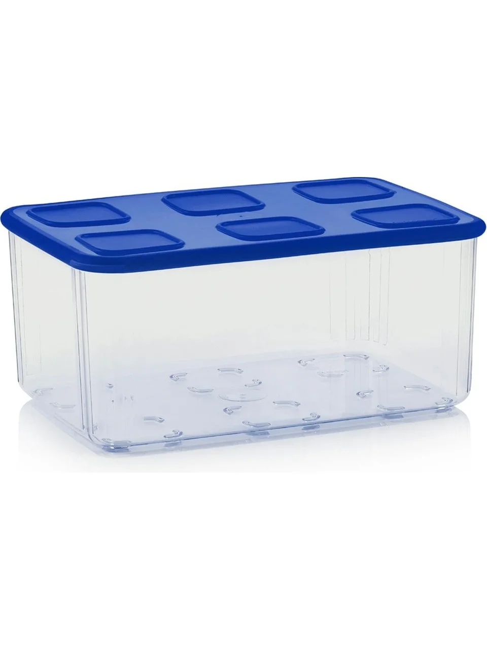 Tupperware Şeffaf Kap 2.53 Lt Lacivert kapak
