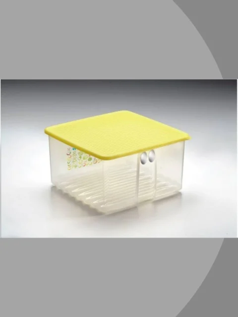 Tupperware Kare Tini Mini Hanım Sebze Meyve Buzdolabı Saklama Kabı