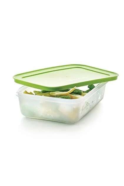 Tupperware Alaska 1 litre Buzluk Saklama Kabı