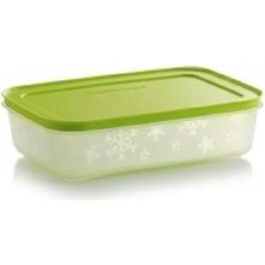 Tupperware Alaska 1 litre Buzluk Saklama Kabı