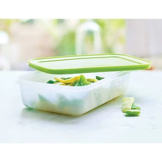 Tupperware Alaska 1 litre Buzluk Saklama Kabı