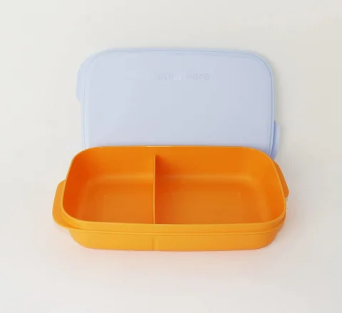 Tupperware Bölmeli Beslenme Kutusu 590 Ml Turuncu Saklama Kabı