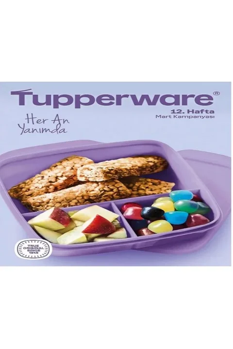 Tupperware Bölmeli Beslenme Kutusu Kare 550 ml Mor Bölmeli Sefer Tası